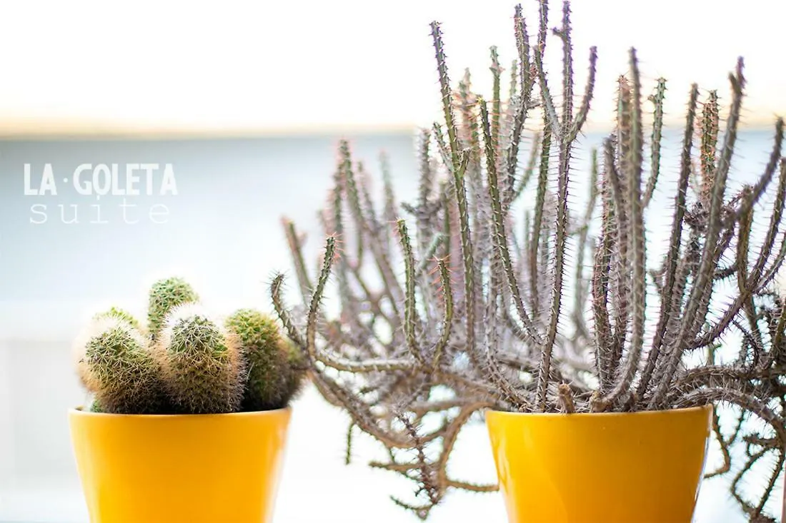La Goleta Suite Малага